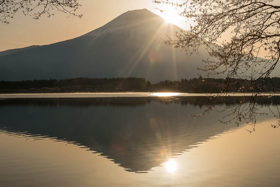 Lake Tanuki #3