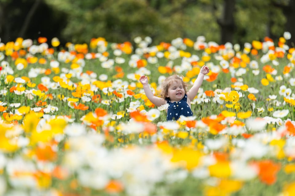 Showa Kinen Park #5