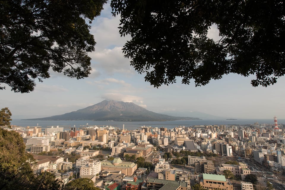 Arasaki Crane Reserve #2