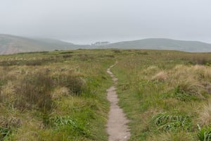 Point Reyes National Seashore #1