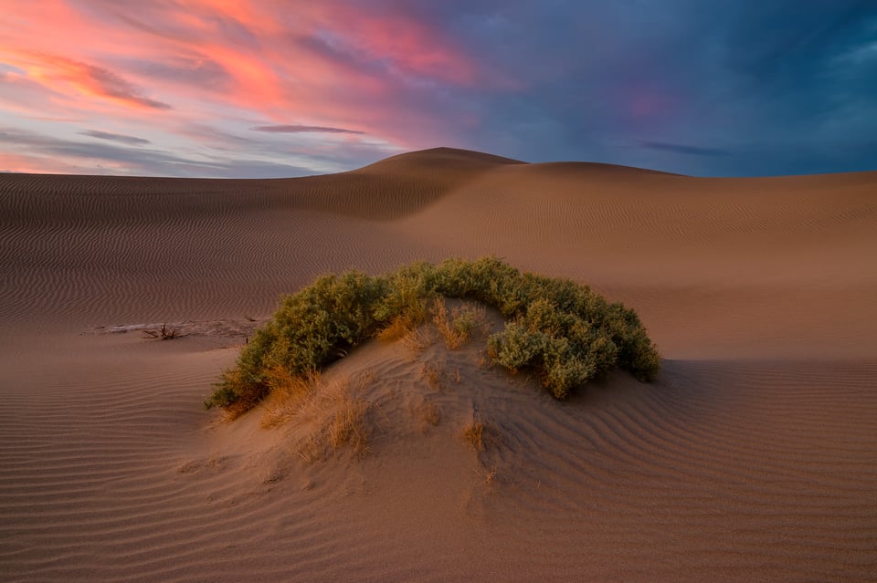 Mesquite Sand Dunes