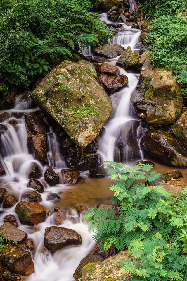 Zeiss Loxia 50mm f2 Sample Image (28)