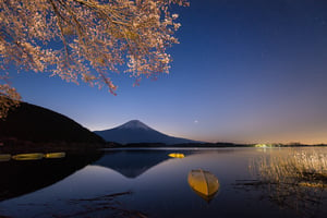Lake Tanuki #1
