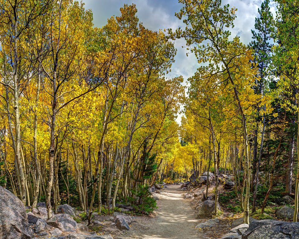 16 Aspen Trail Panorama