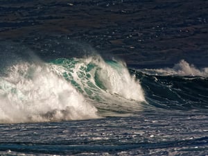 Kohala Coast #1