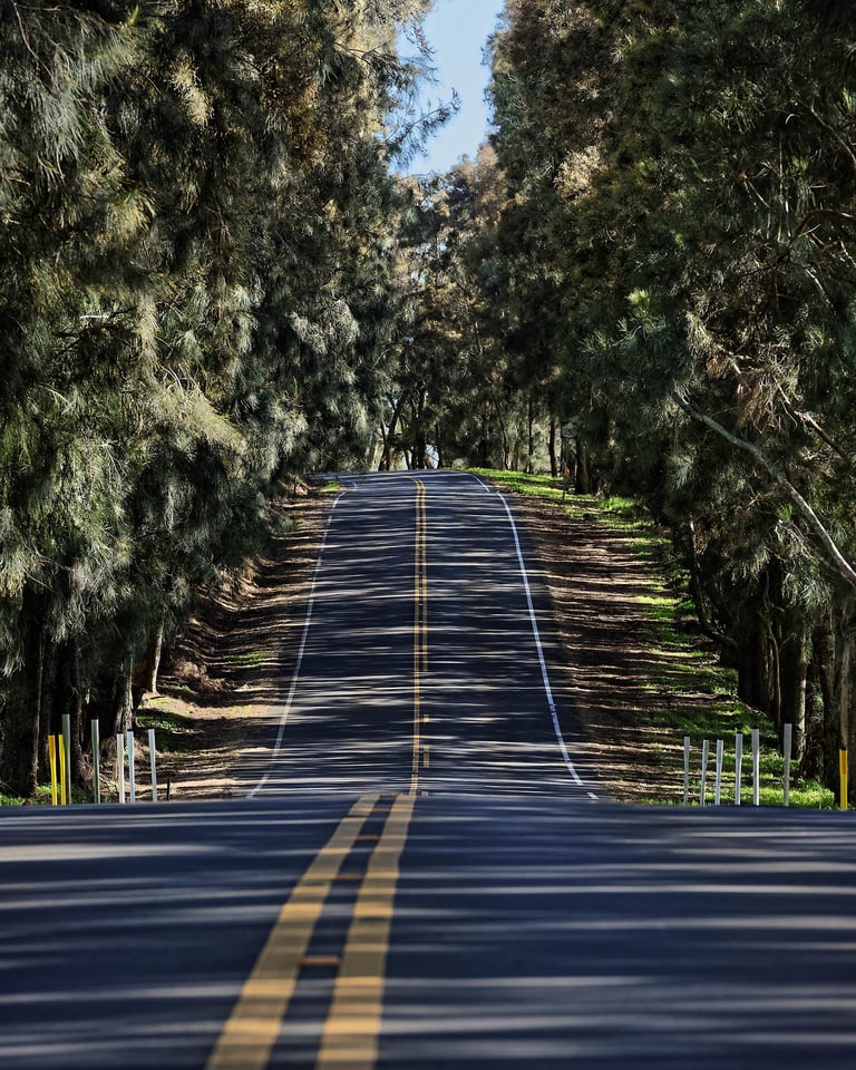 Highway 250 in Hawaii #2