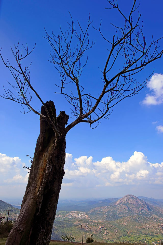 Nandi Hills #4