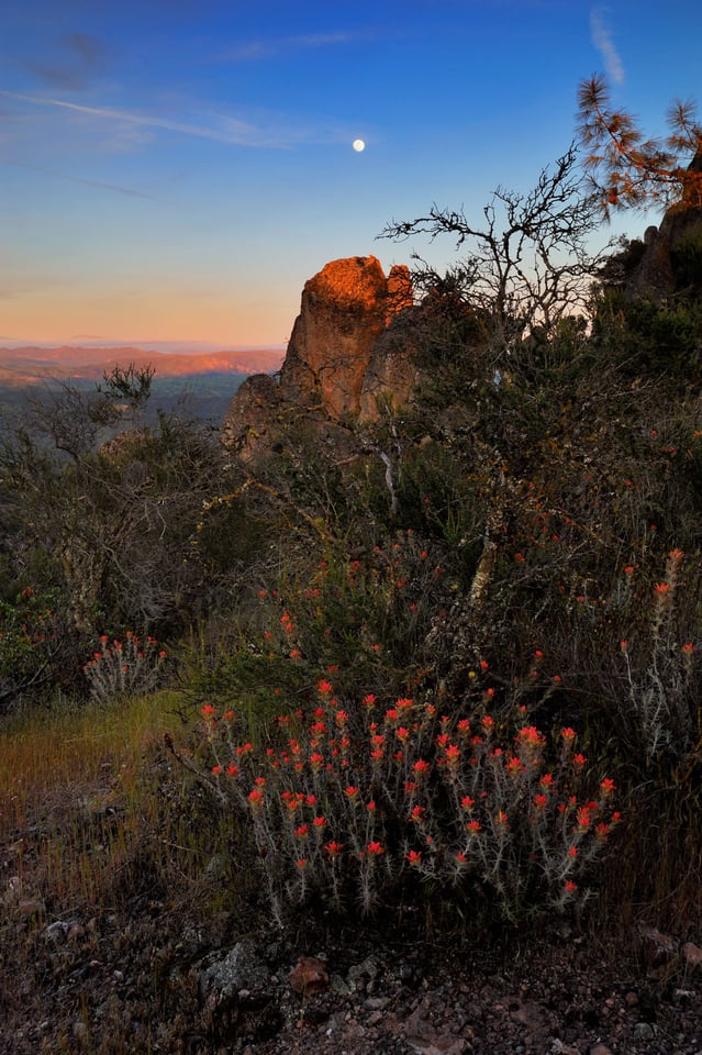 High Peaks Trail #2