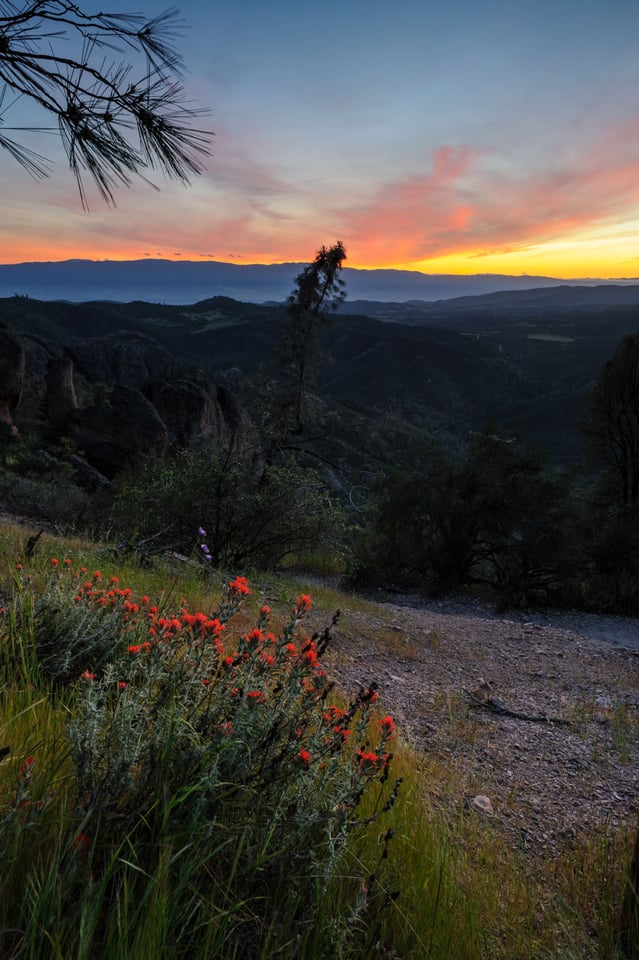 High Peaks Trail #4