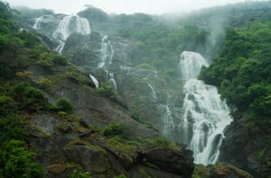 Dudhsagar Trek #2