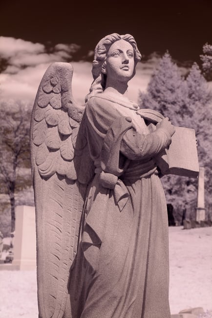 Infrared Angel - Camera LCD