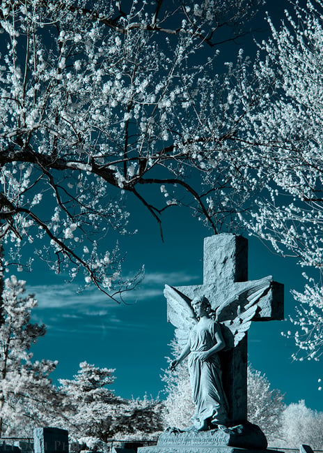 Infrared Angel