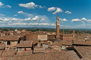 Siena Cathedral #1