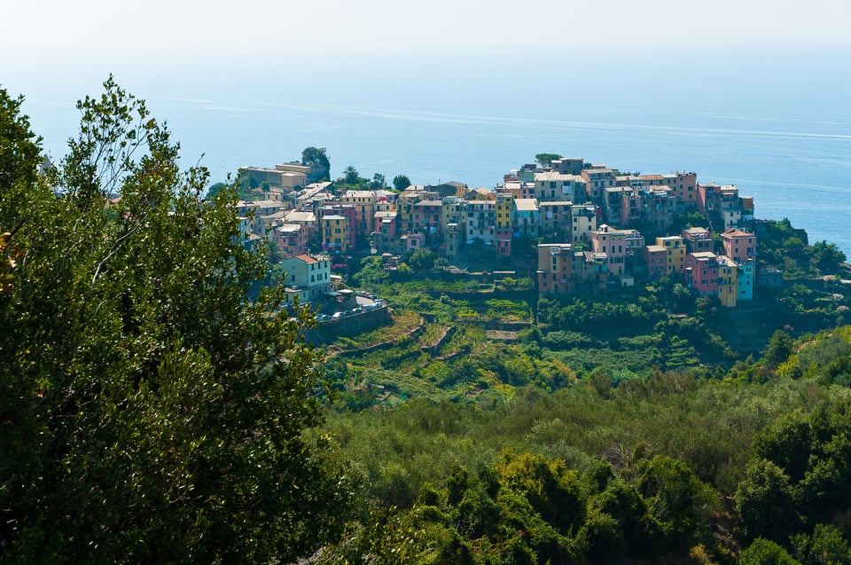 Cinque Terre #4