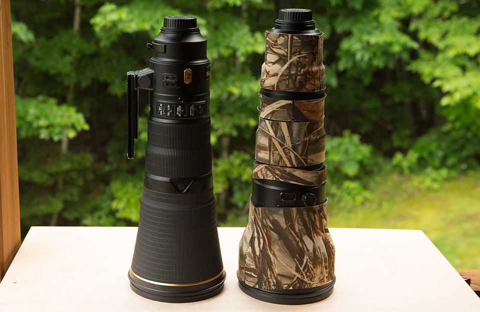 Nikkor 600mm Comparison