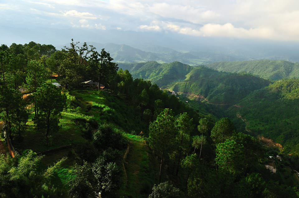 Ranikhet-Valley