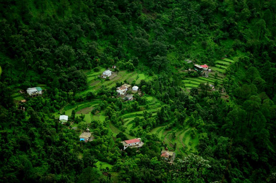 Ranikhet-village