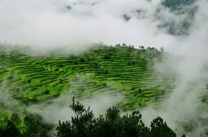 Ranikhet