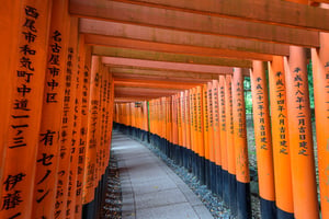 Torii gates at Fushimi Inari