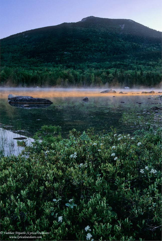 Sandy Stream Pond #7