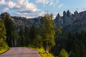 Needles Highway