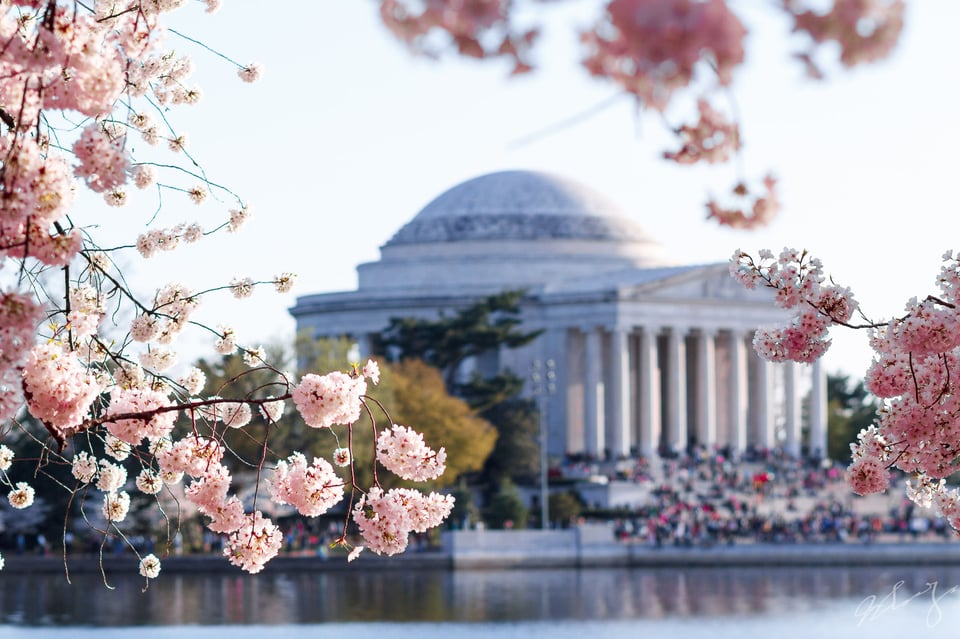 tidal-basin-cherry-blossom-festival-2