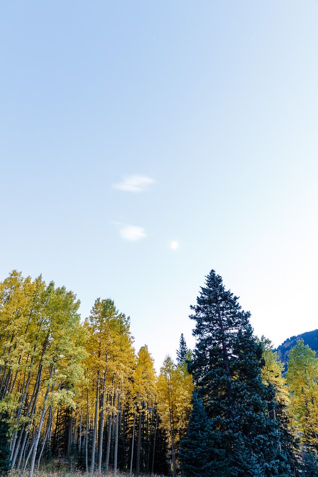 San Juan Mountains Before Dark