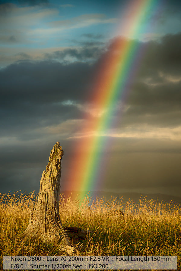 Rainbow Over Dead Stump Homer Alaska