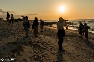 Galapagos Sunset