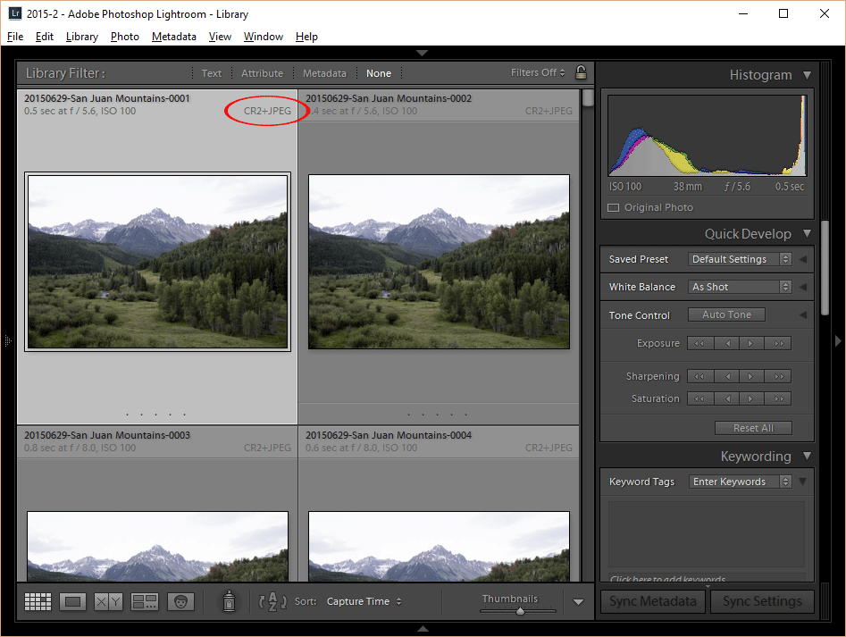 Lightroom RAW + JPEG