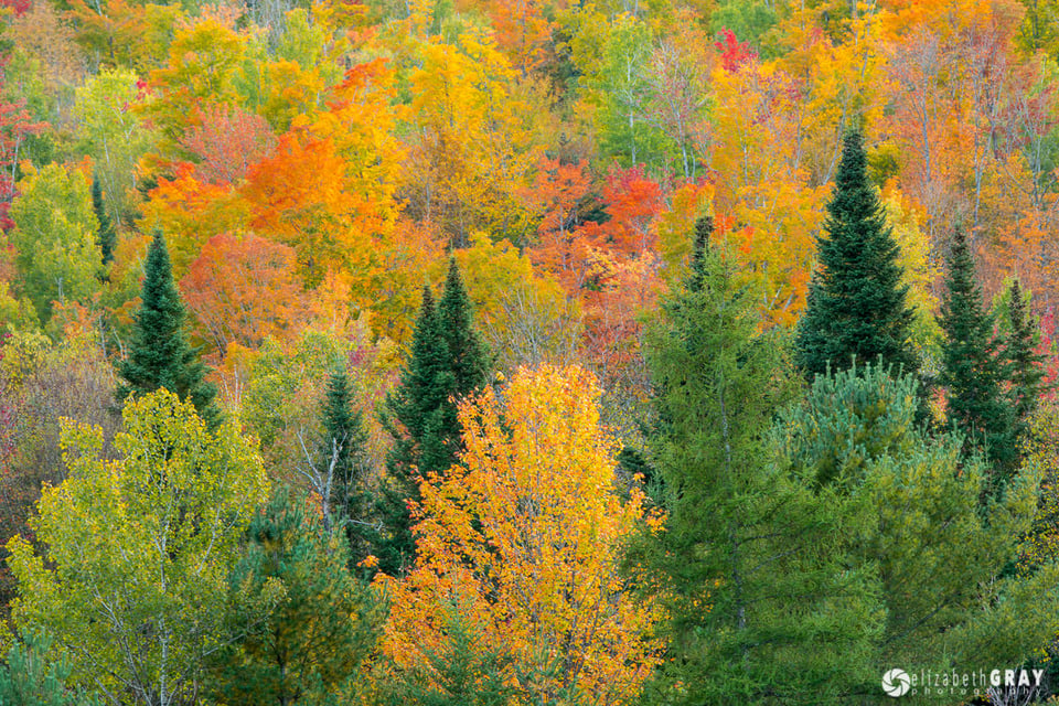 Yellow, Red and Green