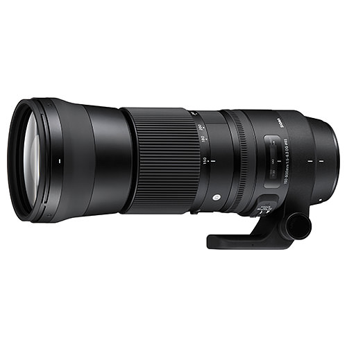 Sigma 150-600mm f/5-6.3 DG OS HSM C