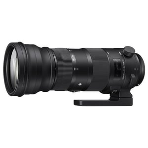 Sigma 150-600mm f/5-6.3 DG OS HSM Sport