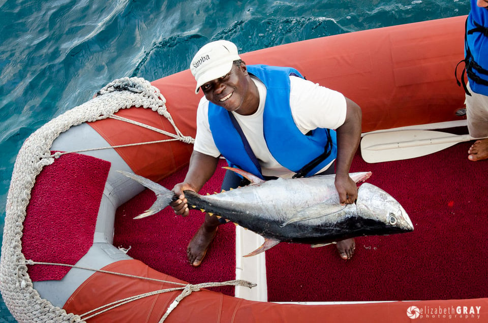 Tuna Dinner