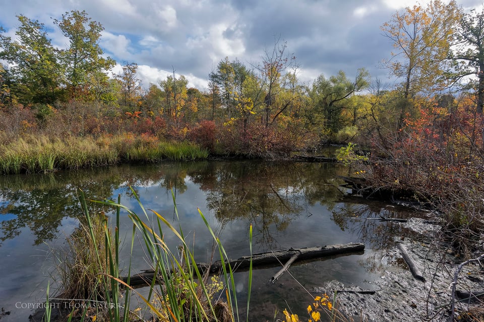 fall highlights in niagara 1