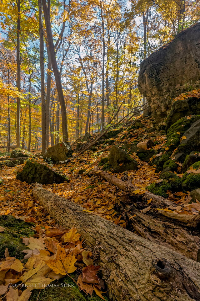 fall highlights in niagara 11