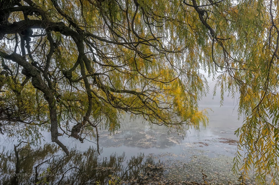 fall highlights in niagara 8