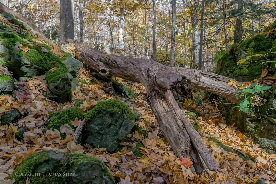 fall highlights in niagara 9