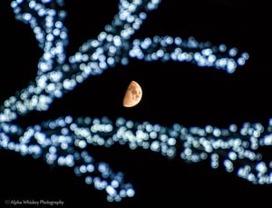 1 Christmas Moon