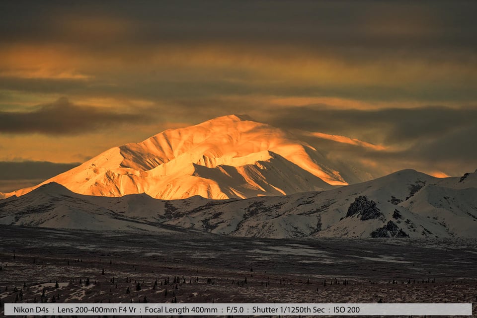 One of the scenics in Denali NP