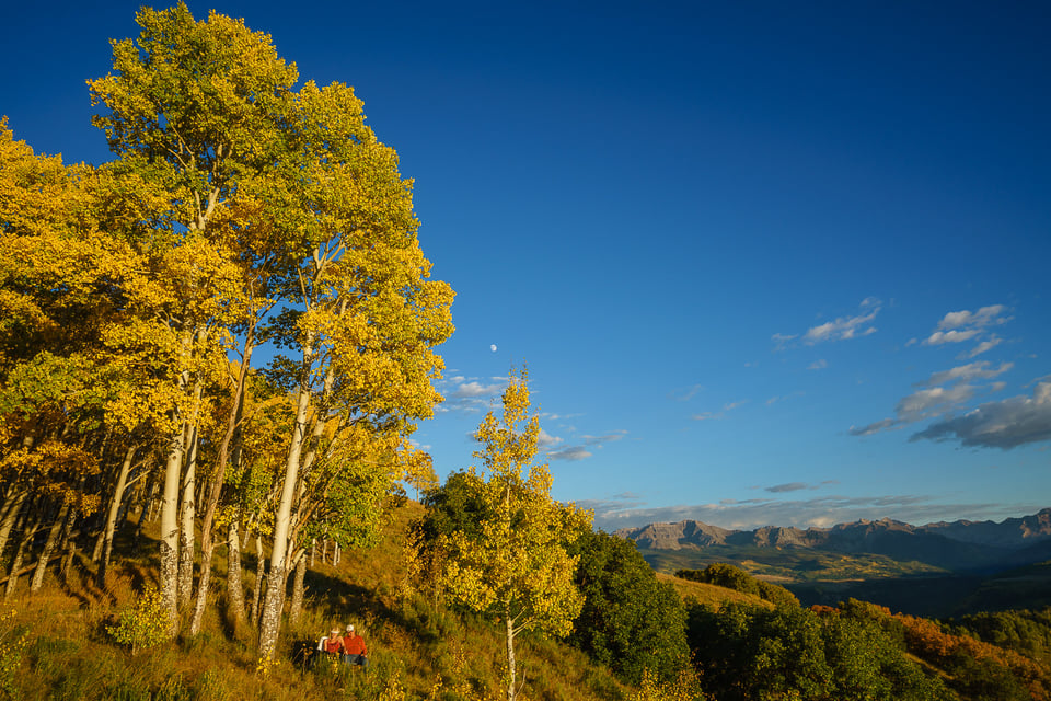 Couple Fall Colors