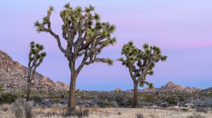 Desert Timelapse in 4K