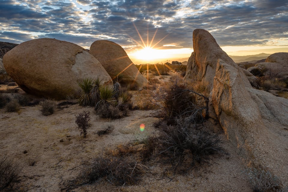 Joshua Tree NP Sunburst