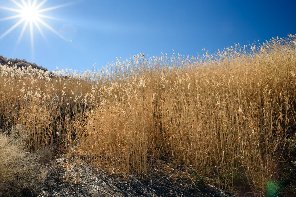 Placement of Sun and Ghosting and Flare