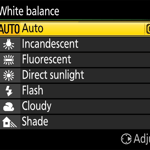 White Balance Camera Menu