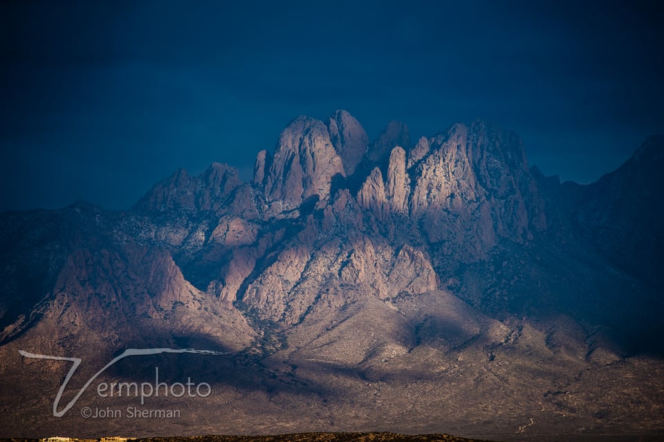 Verm-Rabbit-Ears-Tami-Las-Cruces-4740