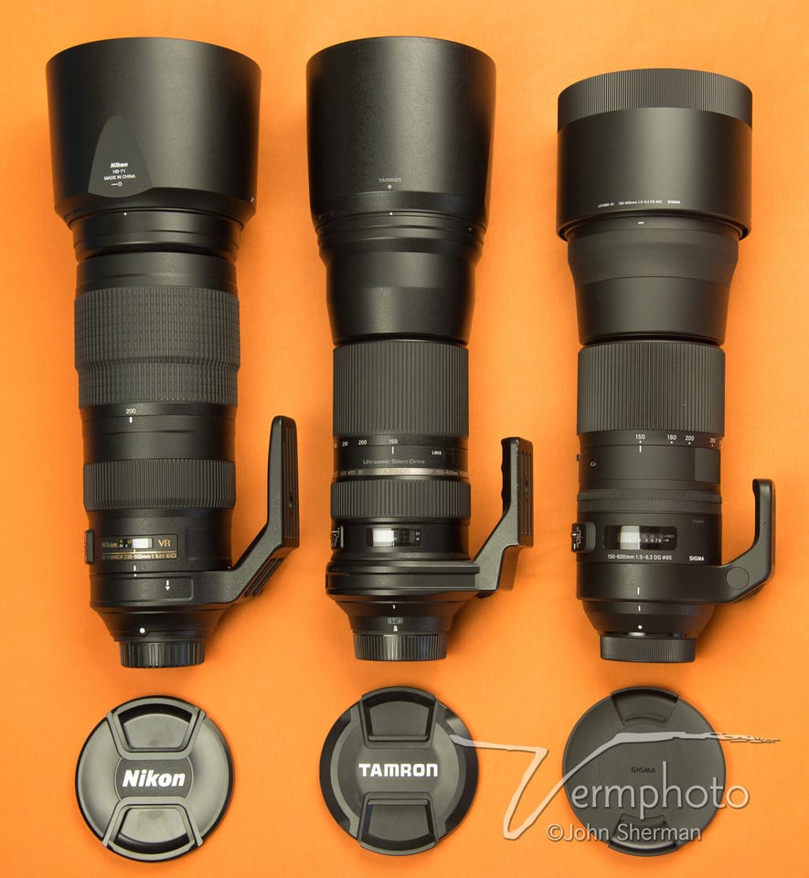 Sony 200-600mm vs Sigma 150-600mm vs Tamron 150-500mm - Mirrorless  Comparison