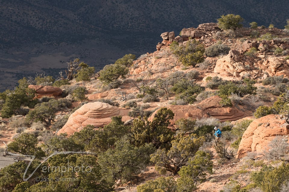 Verm-atop-Vermillion-Cliffs-6526