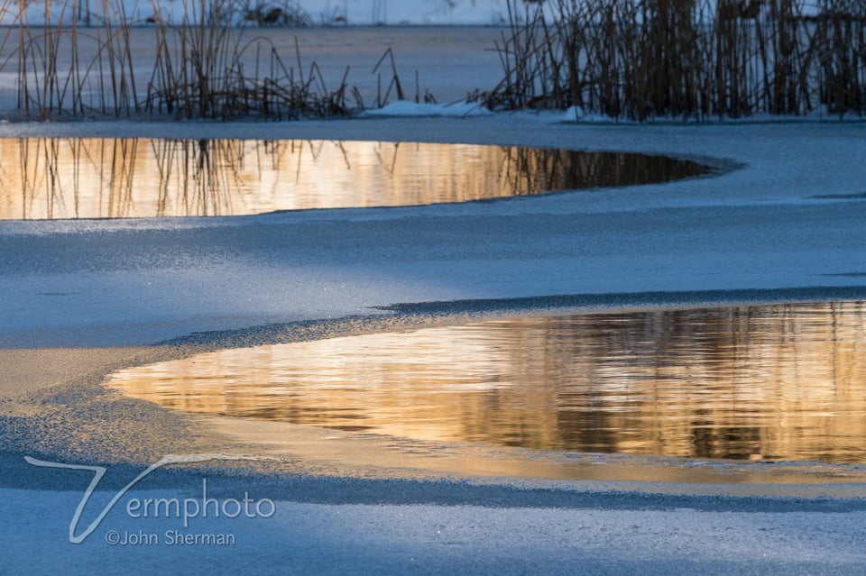 Verm-sunset-duck-pond-1668