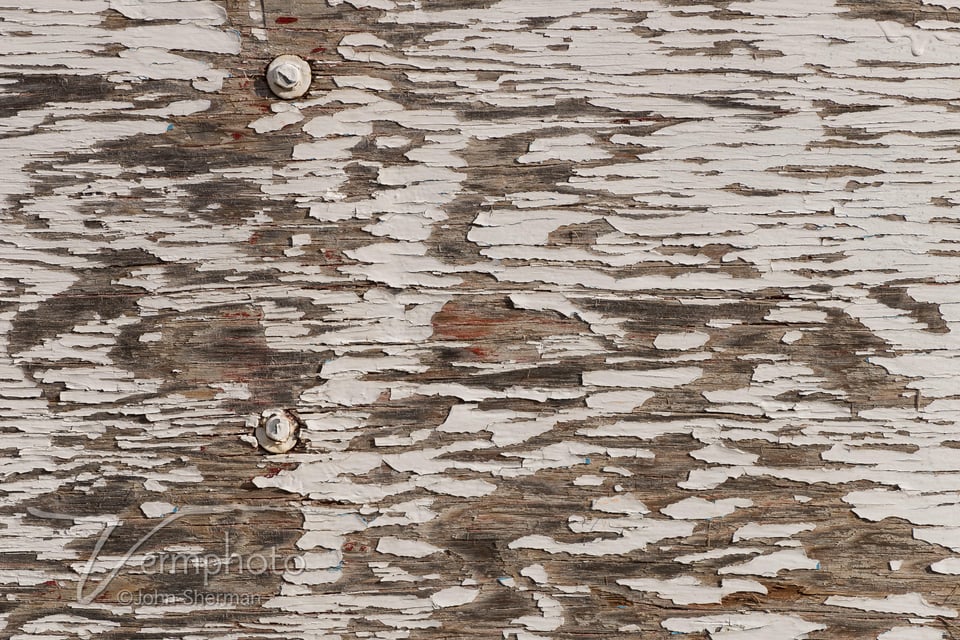 Verm-weathered-wood-7282